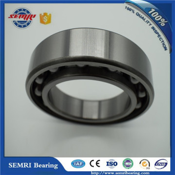 Deep Grove Ball Bearing (6005-2RS) NTN NSK Timken SKF